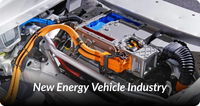 New Energy Vehicle Industry